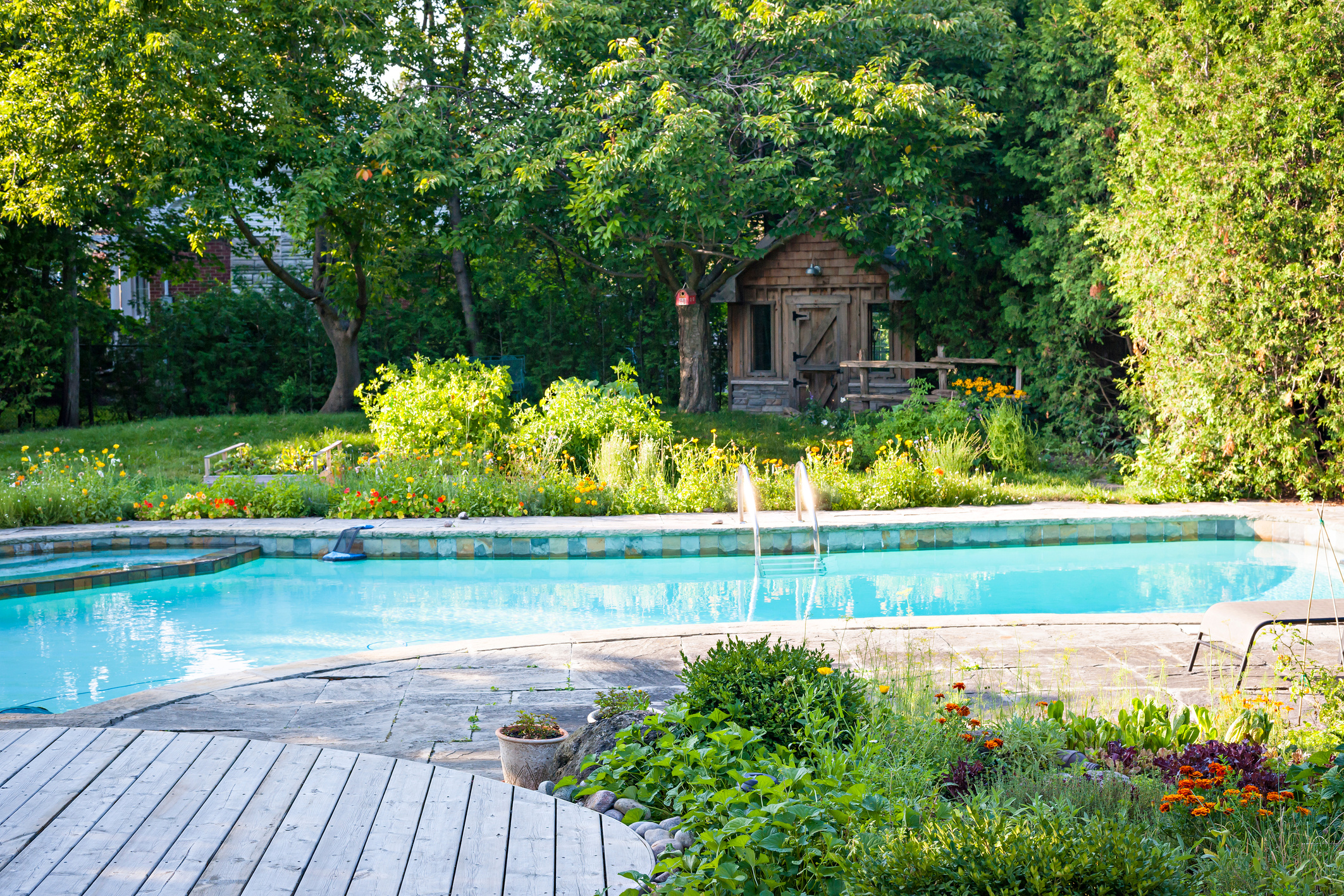 Garden and Swimming Pool in Backyard